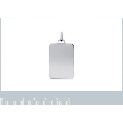 Pendentif argent massif 925