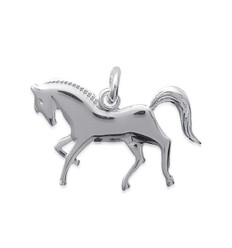 Pendentif argent massif 925