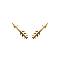 Boucles d'oreilles plaqué or 750 puces d'oreilles flèches