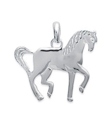 Pendentif argent massif 925